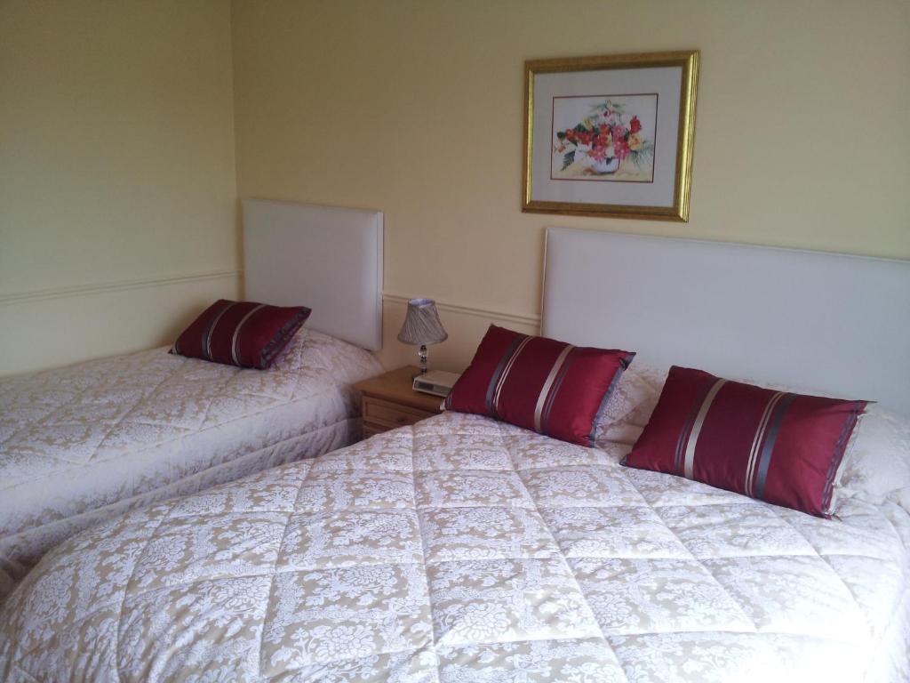 Tir Na Nog B&B Cashel  Exteriör bild